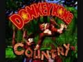 Donkey Kong Country Music - Fear Factory