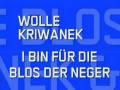 Wolle Kriwanek & Schulz Bros. - I bin für die bloß der Neger