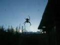 7 legged Spider