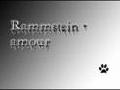 /594072f761-rammstein-amour