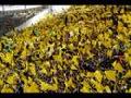 Borussia Dortmund (Die Macht Im Ruhrpott)