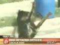 Rottweiler Attack Police