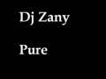 Dj Zany - Pure