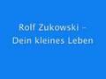 Rolf Zuckowski - Dein kleines Leben