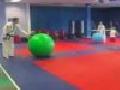 /107fdf5e12-green-exercise-ball