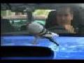 Funny 2008 Subaru WRX STi Commercial