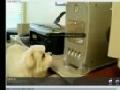 Hund vs CD-Laufwerk