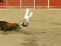Guy Jumps Over a Bull