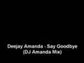 Deejay Amanda - Say Goodbye