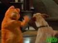 Garfield - Dance 2