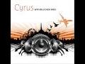 /74700cca70-cyrus-wir-brauchen-bass-radio-mix