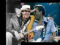 Stevie Ray Vaughan Tribute The Sky Is Crying