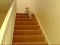 Baby rutscht Treppe runter