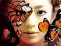 Pic of Ayumi Hamasaki - Butterfly by SMiLE,dk *READ DESCRIPT