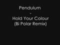 Pendulum Hold your colour (bi polar remix)