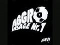 Aggro Berlin - Aggro Ansage 1