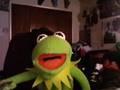 Kermit the Frog reacts to