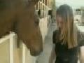 Pferd erschreckt Frau