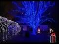 Ultimate Christmas Lights 2006