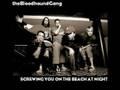 Bloodhound Gang - Screwing You On The Beach At Night