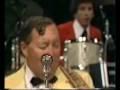 BILL HALEY & COMETS - SEE YOU LATER ALLIGATOR