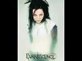 Evanescence Video - Missing