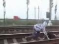 Dumb Kids Lie Down on Train Tracks