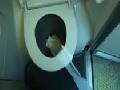 Airplane Toilet Has Powerful Flush