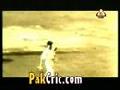 Punjabi Cricket
