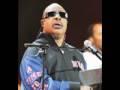 Stevie Wonder - I Just Called To Say I Love You (1)