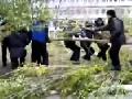 Russian Cop Owned by Tree Branch