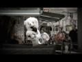 The Bear - AIDS Prevention