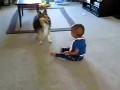 Hund und Baby spielen