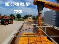 /be2eeb687e-hauling-corn-in-nebraska