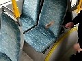 /0969130c88-ein-ganz-normaler-bussitz-eigentlich-doch-ganz-sauber