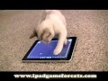 /8f4070ee05-ipad-game-for-cats