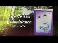 /217e3cc04b-life-is-no-coincidence-by-sheryl-glick-book-trailer