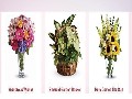 /aa8d19c552-same-day-send-flowers-in-raleigh-nc-919-336-0402