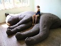 Grosse Katzen-Couch