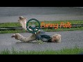 /58a2c4dac6-funny-fail-compilation-2015-funny-videos-funny-pranks