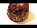 /ec051e0cd2-time-lapse-rotting-plums
