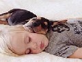 /7958deacea-cute-photos-of-a-toddler-napping-with-his-puppy