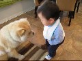 **  Baby unterhält sich mit einem Hund  **