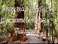 /5e22e9471d-walk-through-the-ancient-relict-forest-of-tasmania