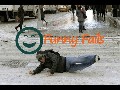 /d0bdaffb78-top-funny-videos-funny-fails-compilation-funny-pranks