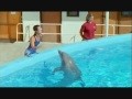 BBC Delfine sind Gute Denker (Teil 2)