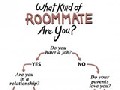 What Kind of Roomate Are You?