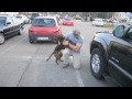 Dog Welcomes Home Soldier