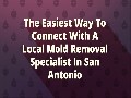 All US Mold Removal in San Antonio TX