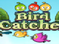 /9ee8a579f6-bird-catcher